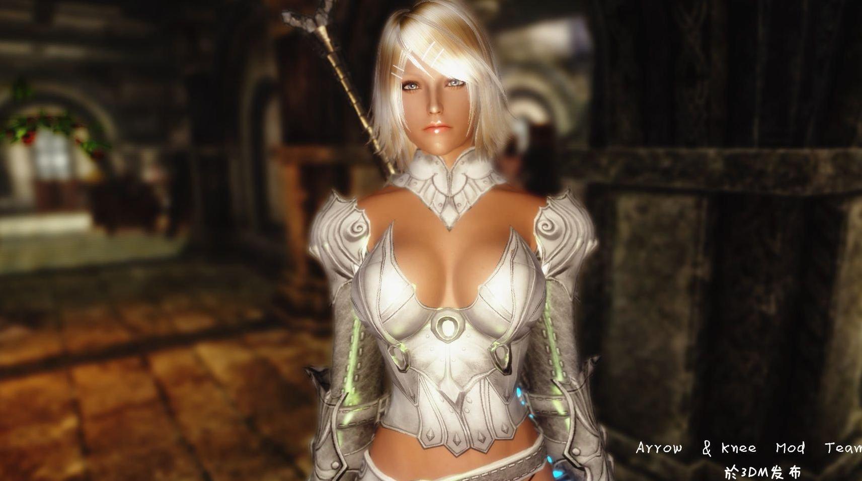 上古卷轴5：天际愛莎辛斯主体v2.0可选6种职业MOD下载