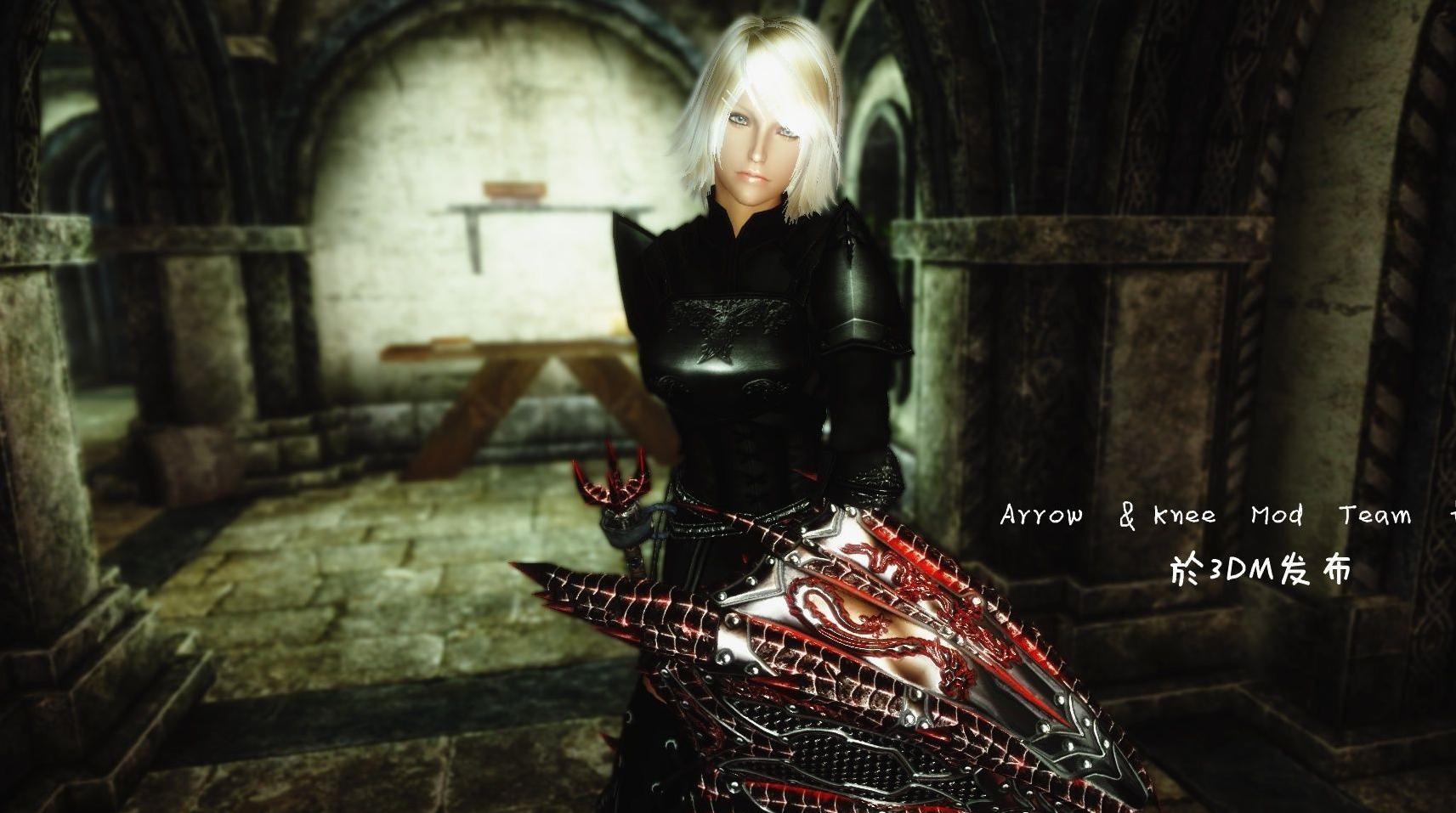 上古卷轴5：天际愛莎辛斯主体+简繁汉化MOD下载