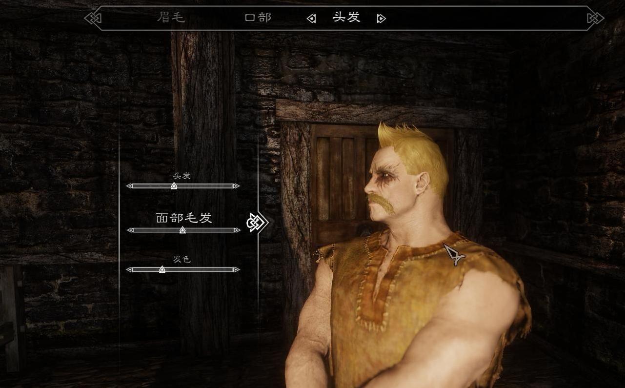 上古卷轴5：天际不一样的人生汉化版v2.1.3下载