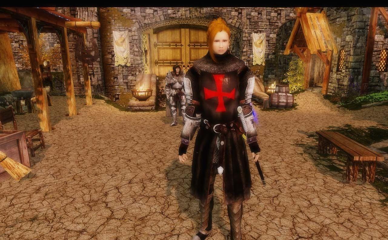 上古卷轴5：天际各种骑士团的逆袭[汉化]下载