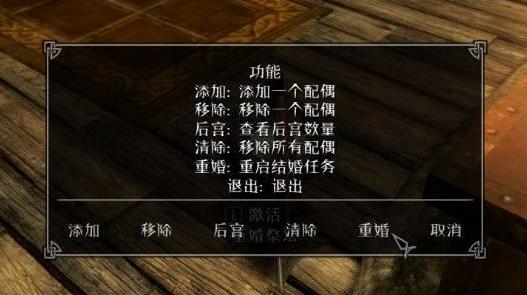 上古卷轴5：天际重婚MOD，想娶多个老婆？进来看看！下载