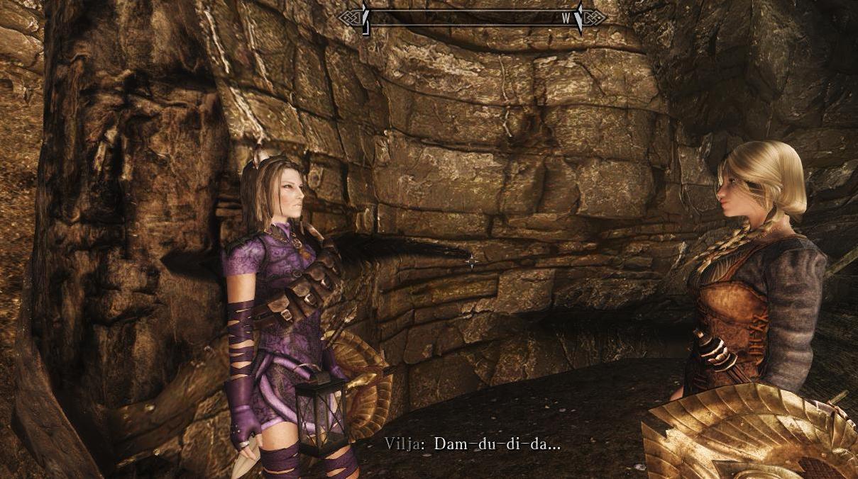 上古卷轴5：天际最强同伴ViljainSkyrimv1.5汉化下载