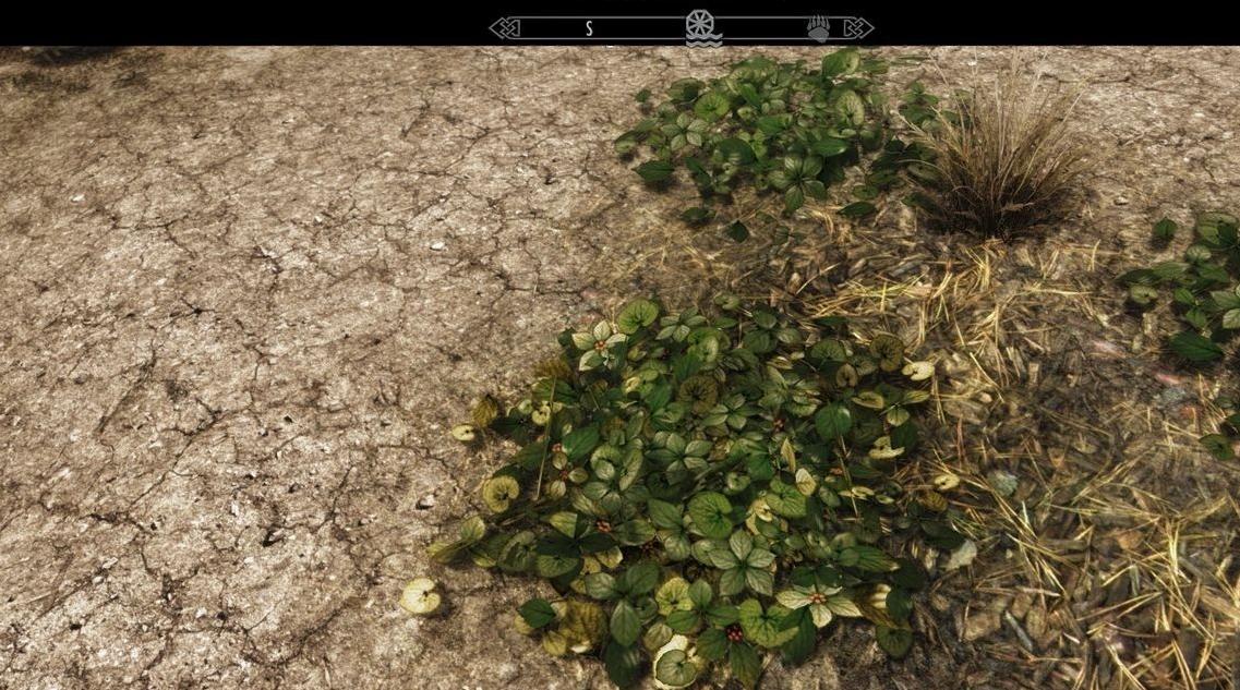 上古卷轴5：天际BoneAshD3D增强补丁低配利器!下载