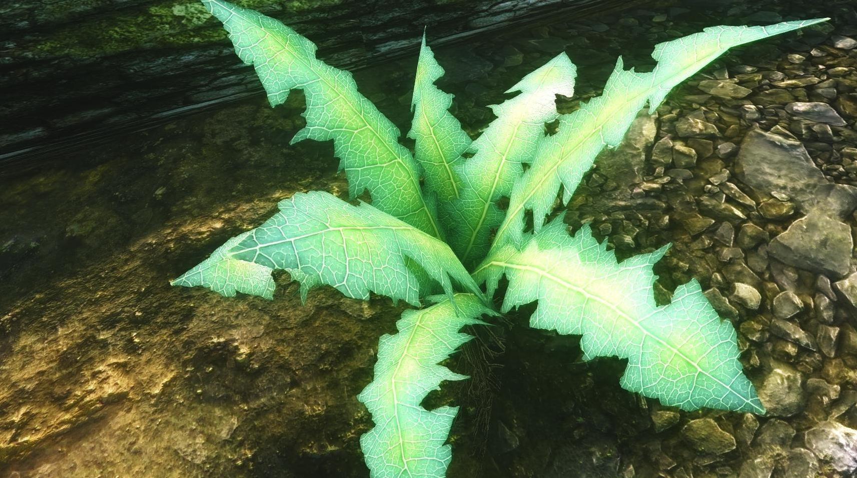 上古卷轴5：天际奈恩草的2K材质下载