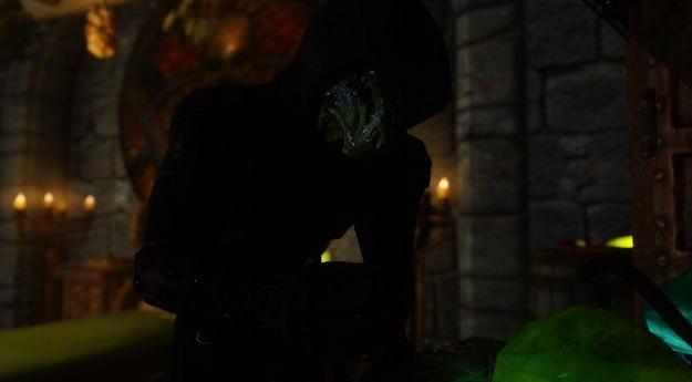 上古卷轴5：天际 抱负满满法师的训练公会！[汉化]下载+安装说明