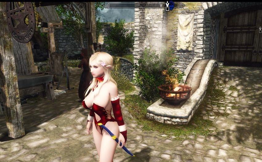 上古卷轴5：天际 女性 精灵弓箭&匕首 [移植]下载+安装说明