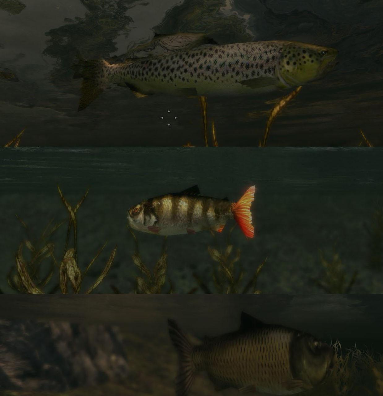 上古卷轴5：天际鱼类材质PondFishReplacer下载