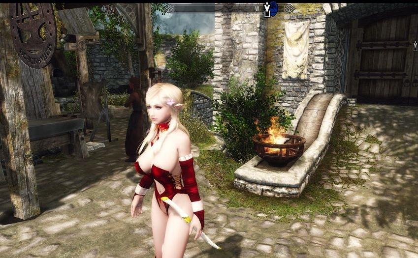 上古卷轴5：天际 女性 精灵弓箭&匕首 [移植]下载+安装说明