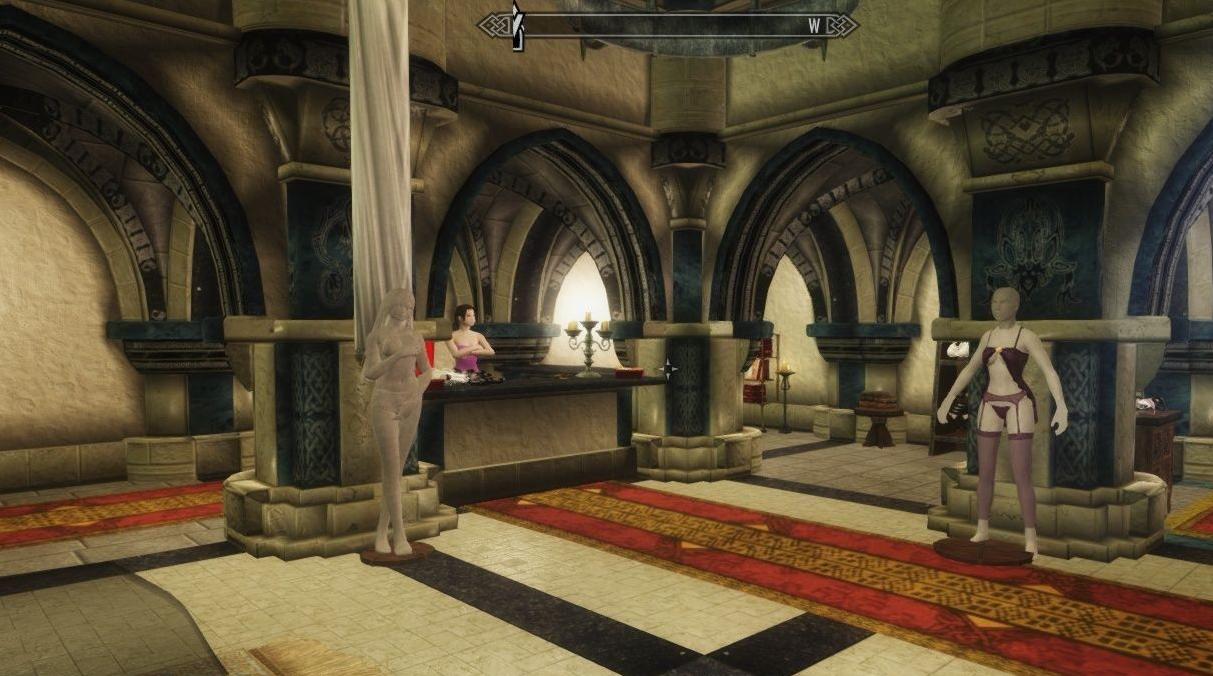 上古卷轴5：天际性感内衣店v1.6福利都懂的![汉化]下载