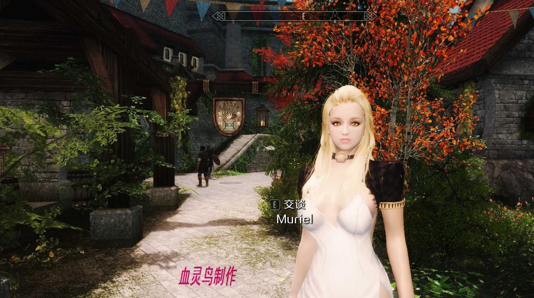 上古卷轴5：天际御姐三人组v3.0肥鸟出品!低配版下载