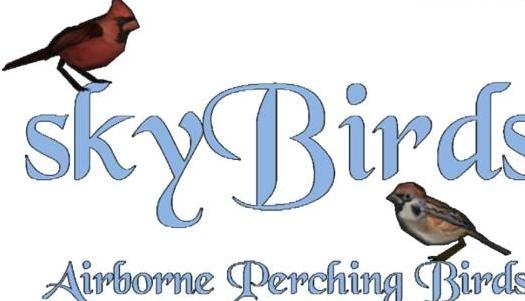 上古卷轴5：天际天际鸟类v0.93最新汉化版下载