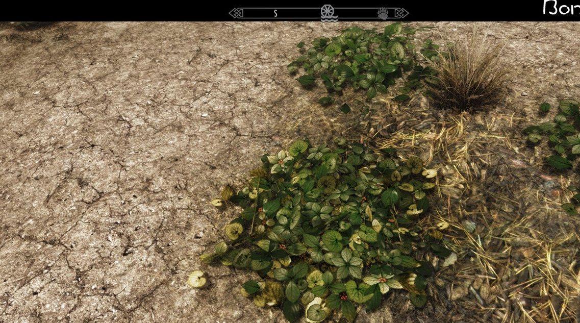 上古卷轴5：天际Landscape2K高清地面纹理包下载