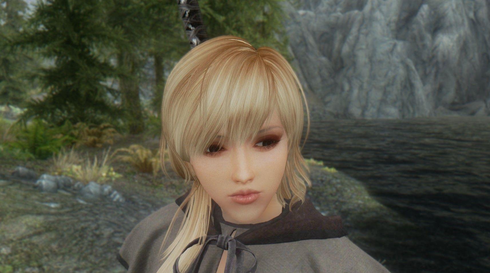 上古卷轴5：天际独立随从liarsaMOD下载