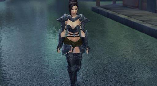 上古卷轴5：天际精灵骑士铠甲汉化版下载