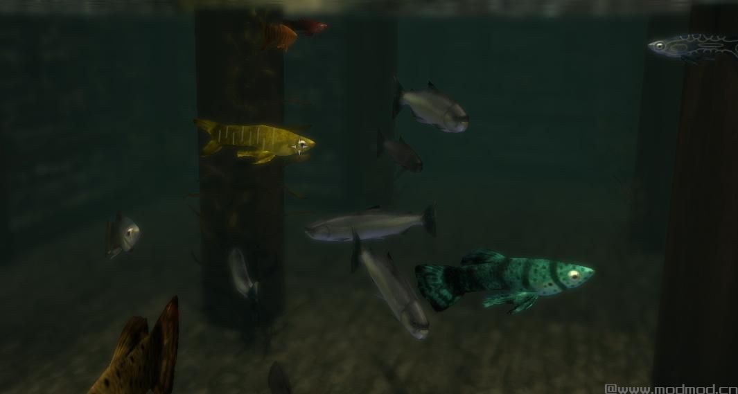 上古卷轴5：天际丰富的鱼儿v3.3汉化版下载