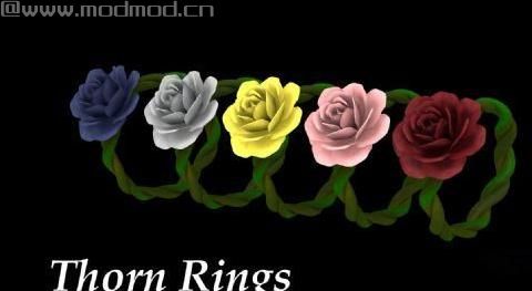 上古卷轴5：天际荆棘戒指v1.1汉化版下载