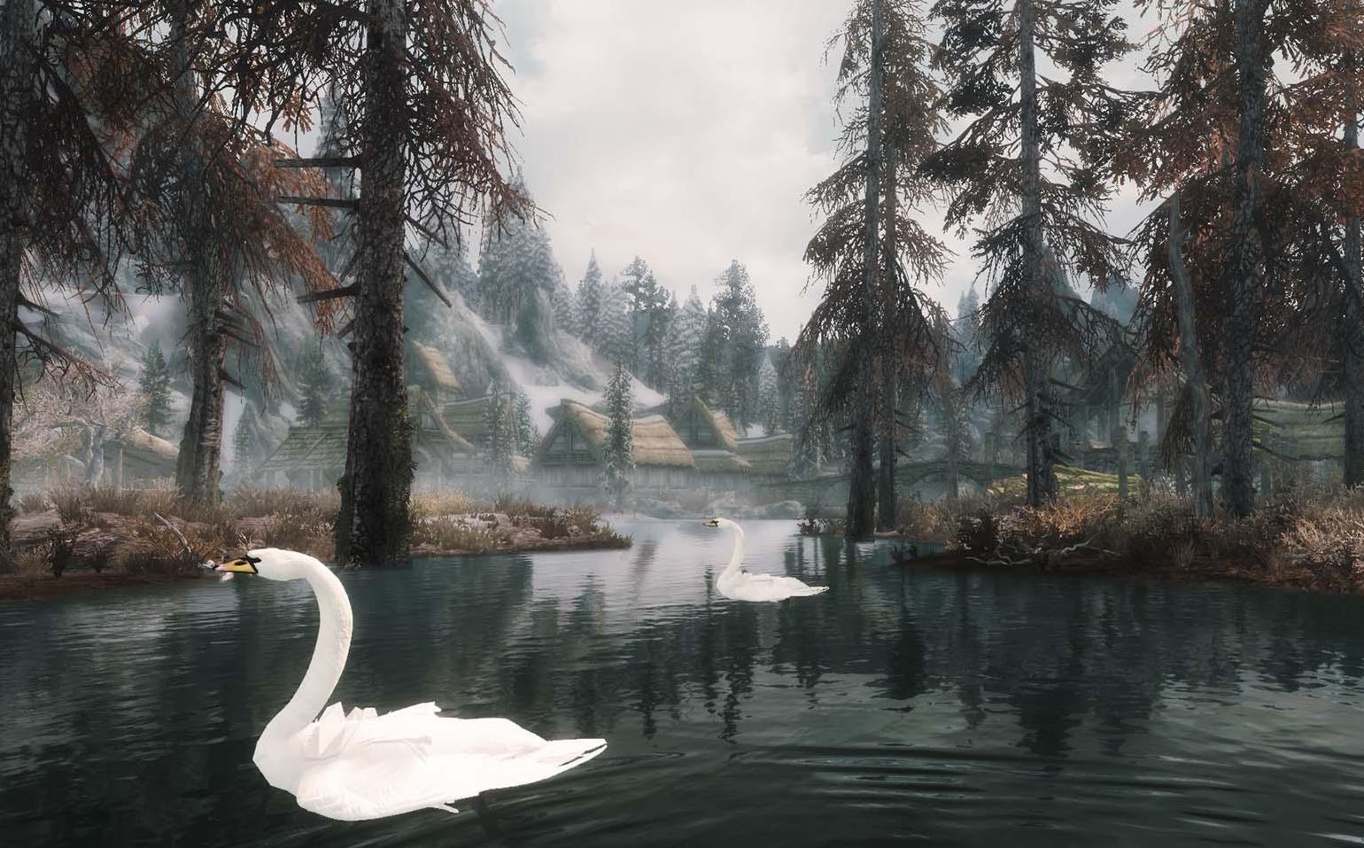 上古卷轴5：天际鸭子与天鹅v1.1汉化版下载