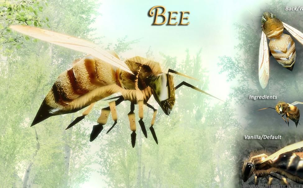 上古卷轴5：天际昆虫世界v4.1汉化版下载