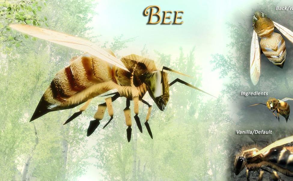 上古卷轴5：天际昆虫世界v4.1汉化版下载