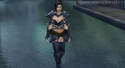 上古卷轴5：天际精灵骑士铠甲汉化版下载