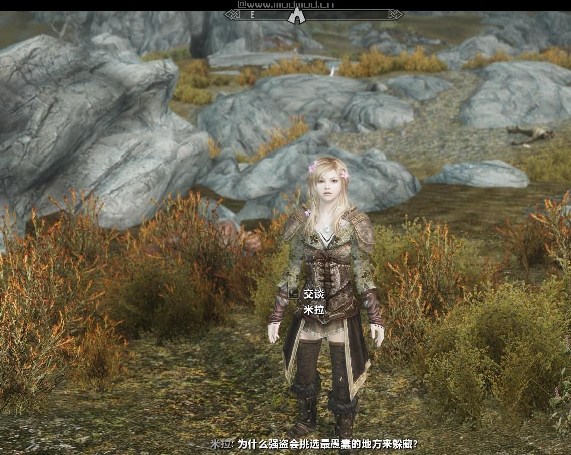 上古卷轴5：天际随从MOD龙心女孩汉化版下载