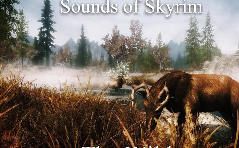 上古卷轴5：天际天际之音NMM中文安装包下载