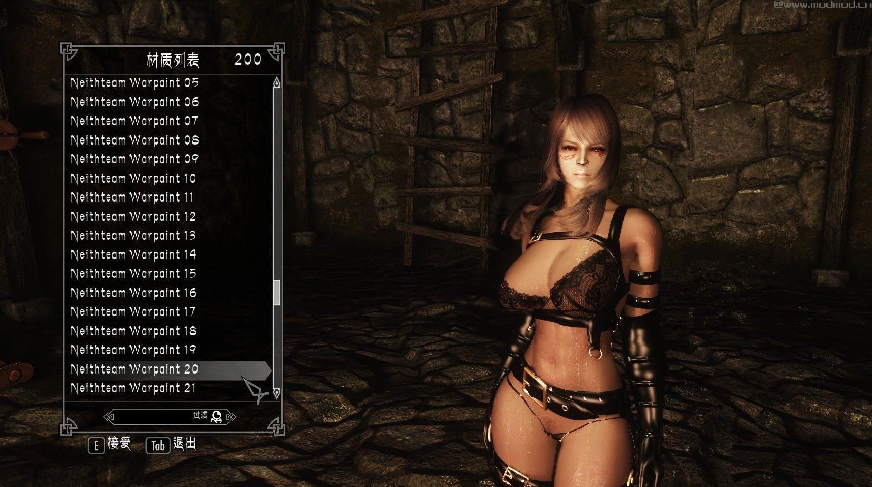 上古卷轴5：天际加菲猫私货战纹合集下载