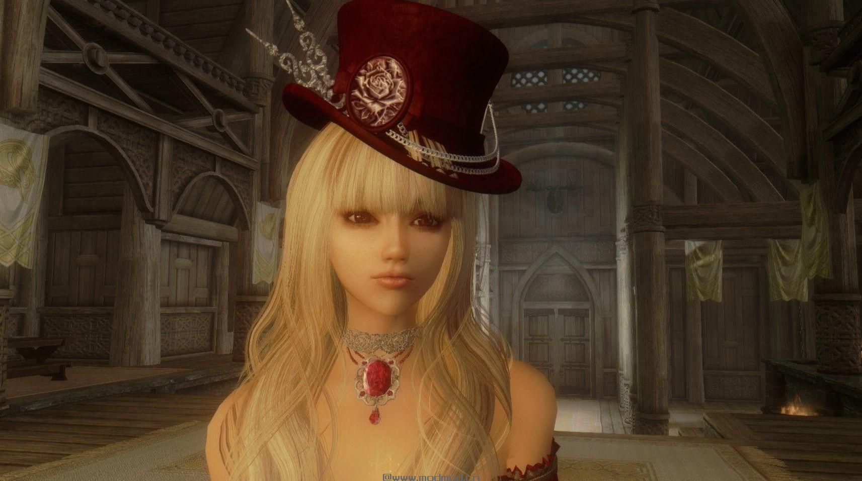 上古卷轴5：天际双持独立随从Annie下载