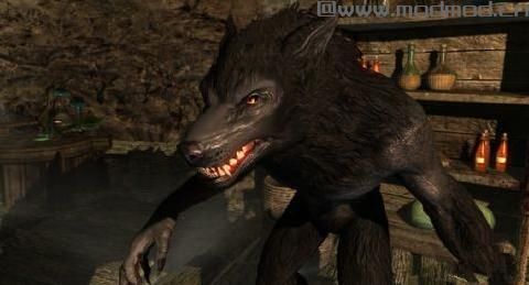 上古卷轴5：天际狼人凶猛重制下载