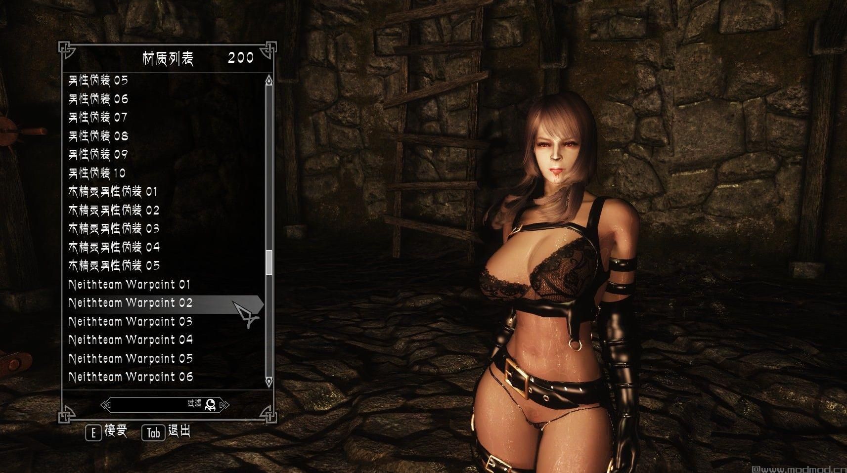 上古卷轴5：天际加菲猫私货战纹合集下载