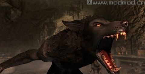 上古卷轴5：天际狼人凶猛重制下载