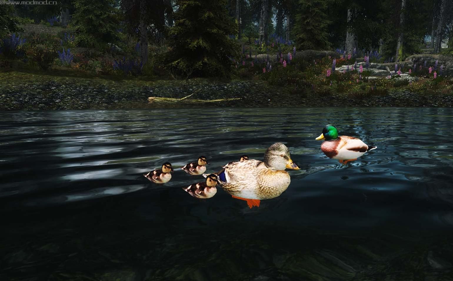 上古卷轴5：天际鸭子与天鹅v1.1汉化版下载