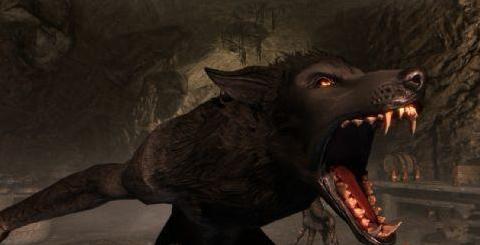 上古卷轴5：天际狼人凶猛重制下载