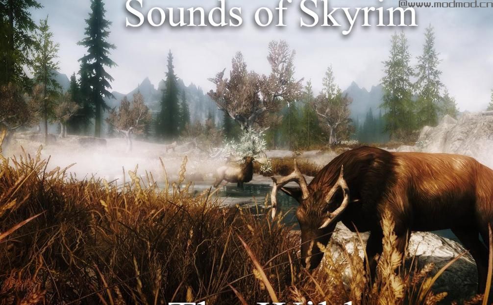 上古卷轴5：天际天际之音NMM中文安装包下载