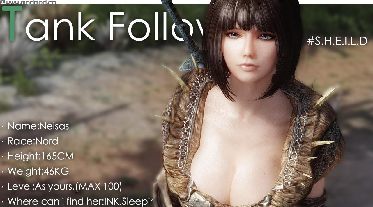 上古卷轴5：天际随从MOD女坦奈莎斯下载