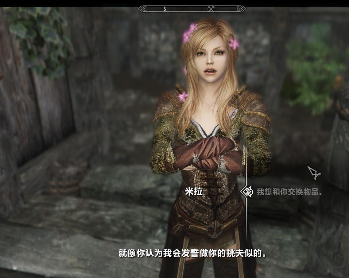 上古卷轴5：天际随从MOD龙心女孩汉化版下载