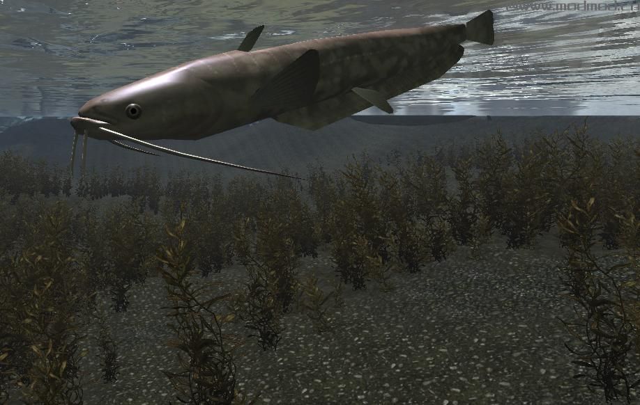 上古卷轴5：天际丰富的鱼儿v3.3汉化版下载