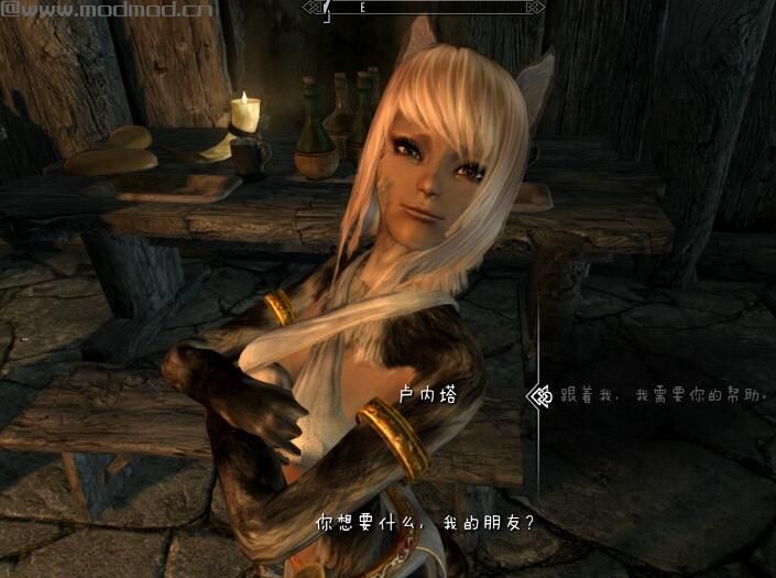 上古卷轴5：天际随从MOD小猫卢内塔汉化版下载