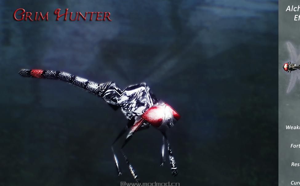 上古卷轴5：天际昆虫世界v4.1汉化版下载