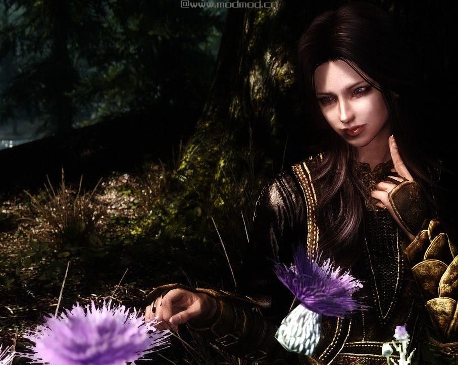 上古卷轴5：天际随从MOD绝佳の卡莱尔下载