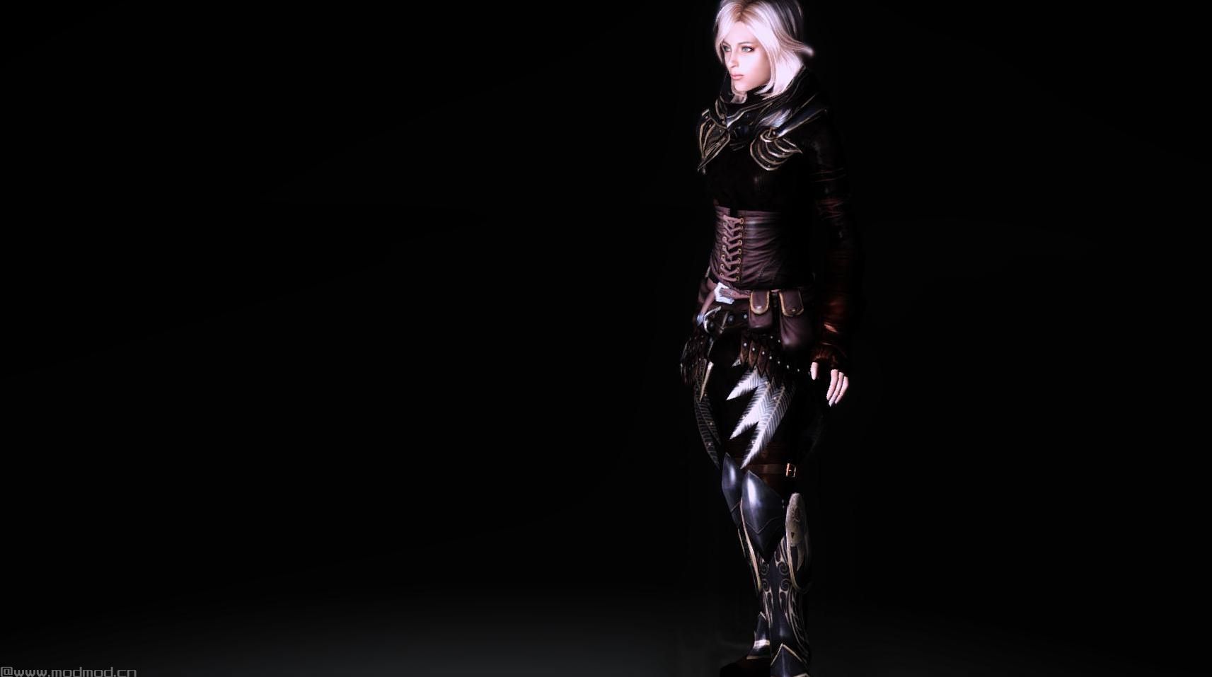 上古卷轴5：天际精灵盗贼护甲汉化版下载