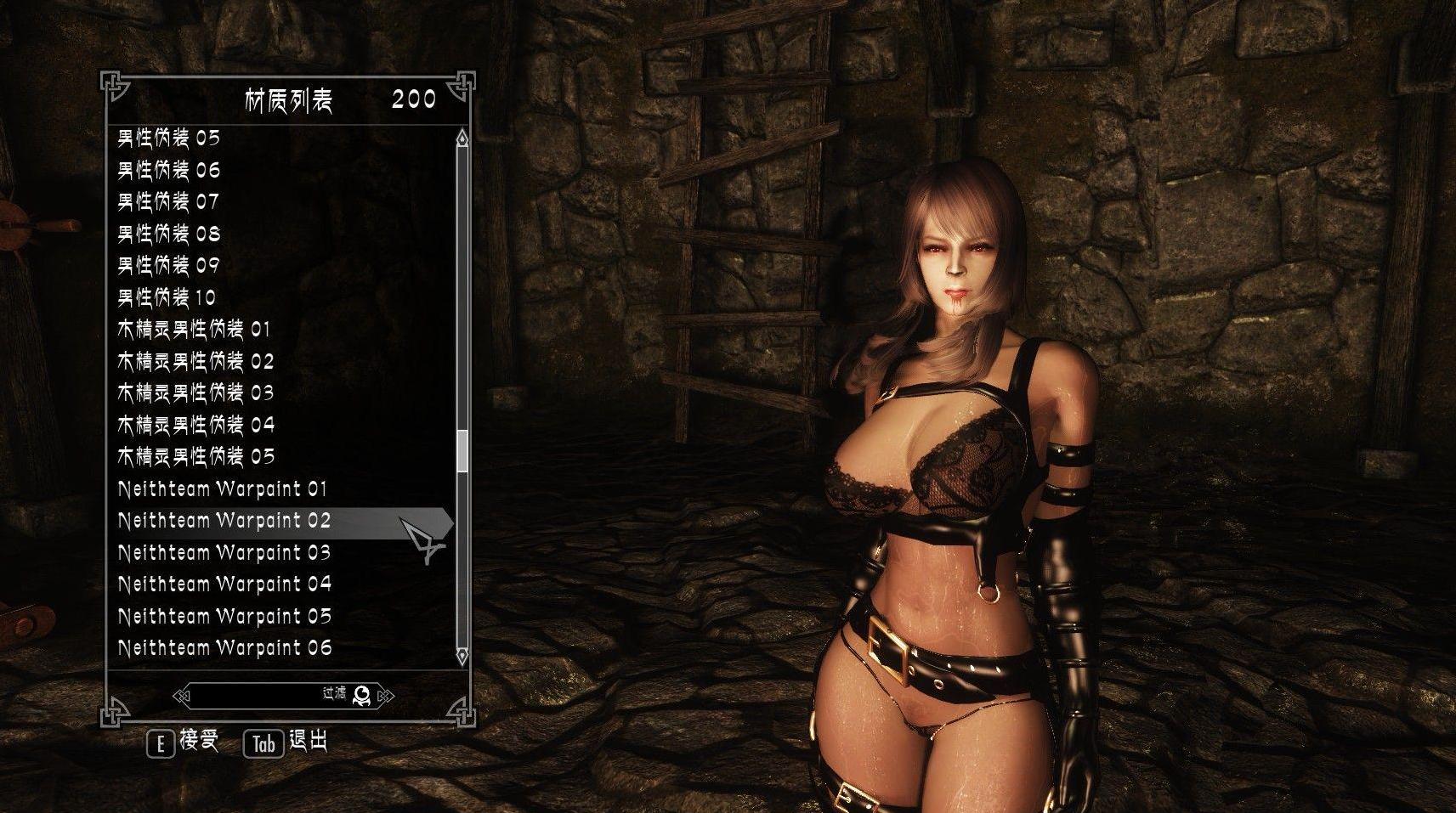 上古卷轴5：天际加菲猫私货战纹合集下载