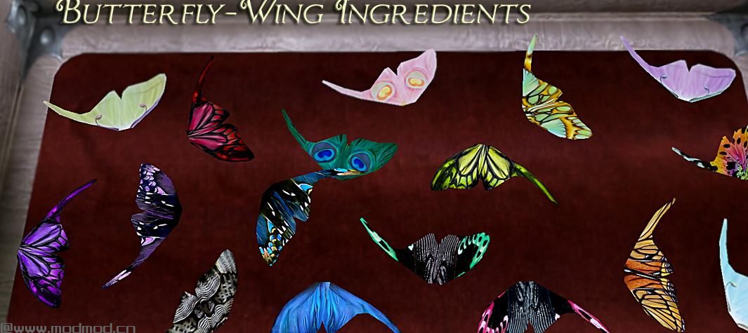 上古卷轴5：天际昆虫世界v4.1汉化版下载