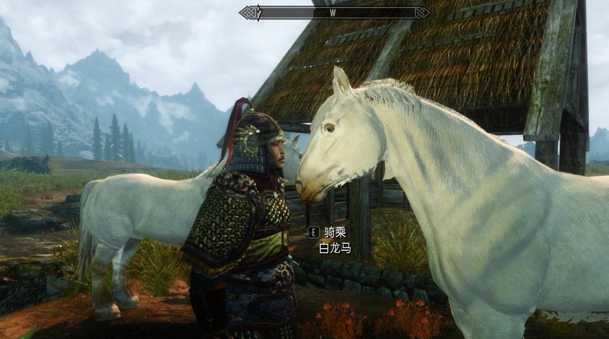 上古卷轴5：天际中国风白龙马坐骑下载