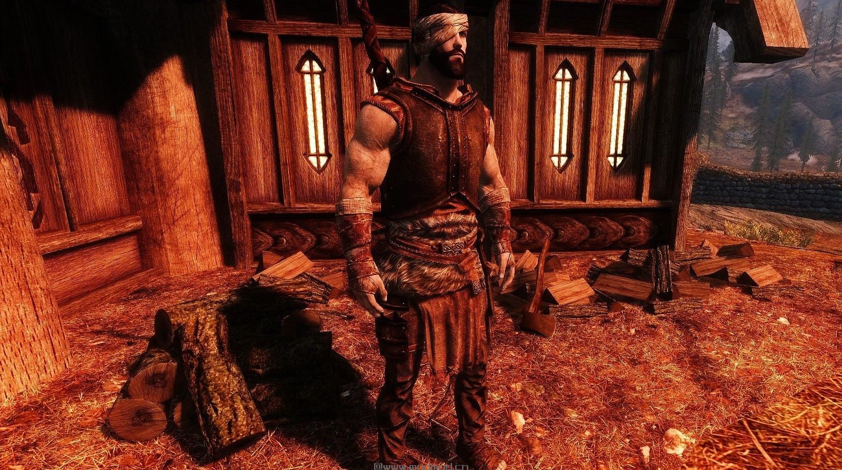 上古卷轴5：天际活力-战斗和受伤下载