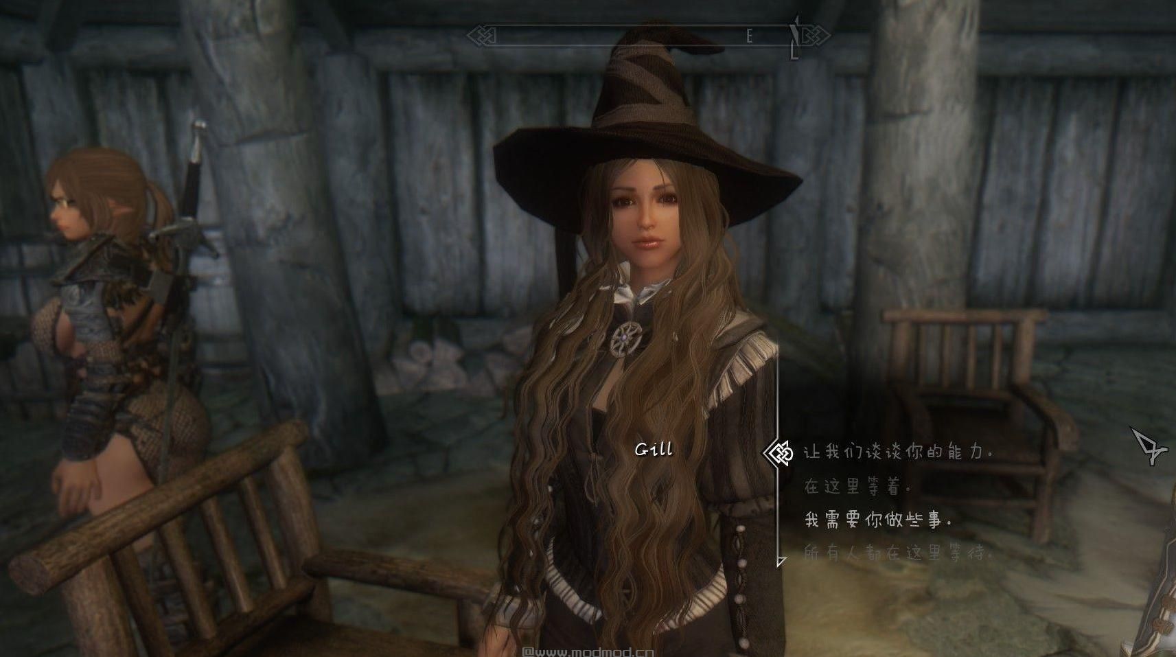 上古卷轴5：天际魔莎莉尔随从MOD下载