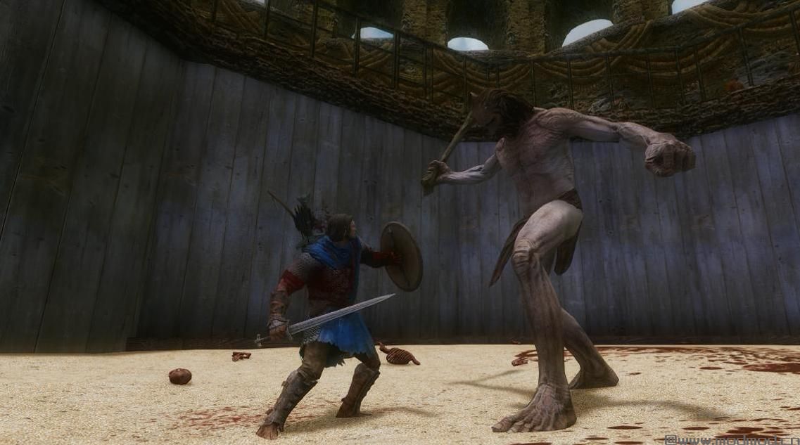 上古卷轴5：天际孤独城竞技场汉化版下载