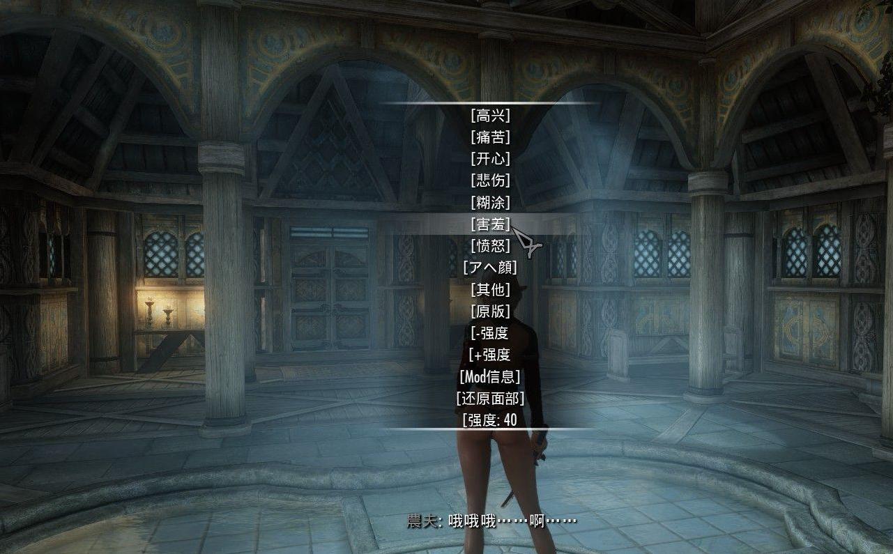 上古卷轴5：天际拍照必备面部表情控制MODv4.0最新版下载