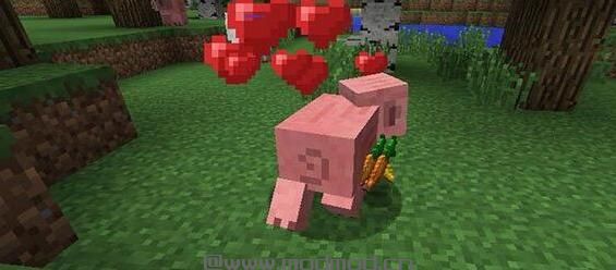 我的世界 1.9.0简便喂食MOD下载+安装说明