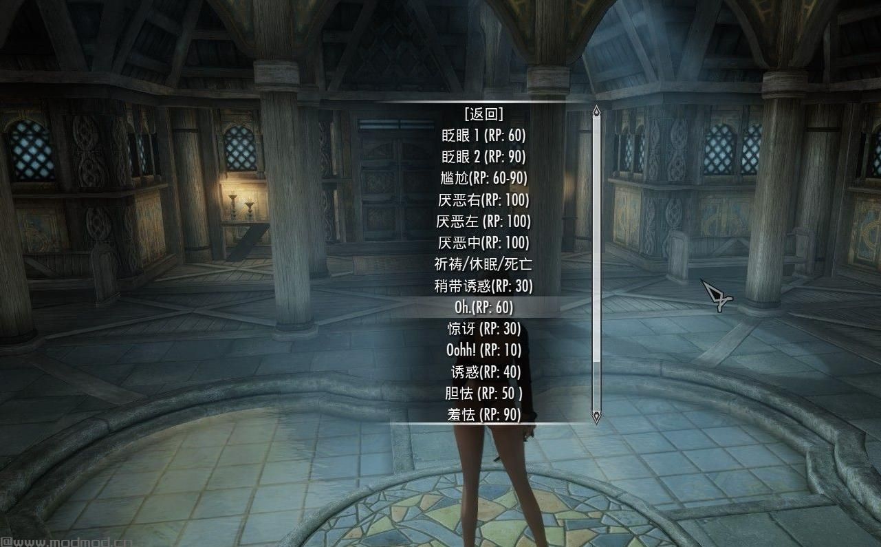 上古卷轴5：天际拍照必备面部表情控制MODv4.0最新版下载
